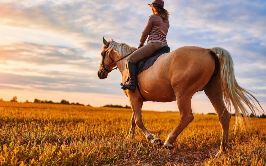 ¿Sabías que los caballos sufrieron una mutación genética que permitió que fuesen aptos para montar?