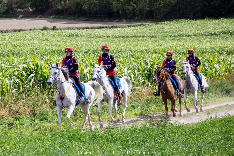 Preseleccionados los binomios españoles para el Mundial Junior y Jóvenes Jinetes de Raid 2025 en Rumanía