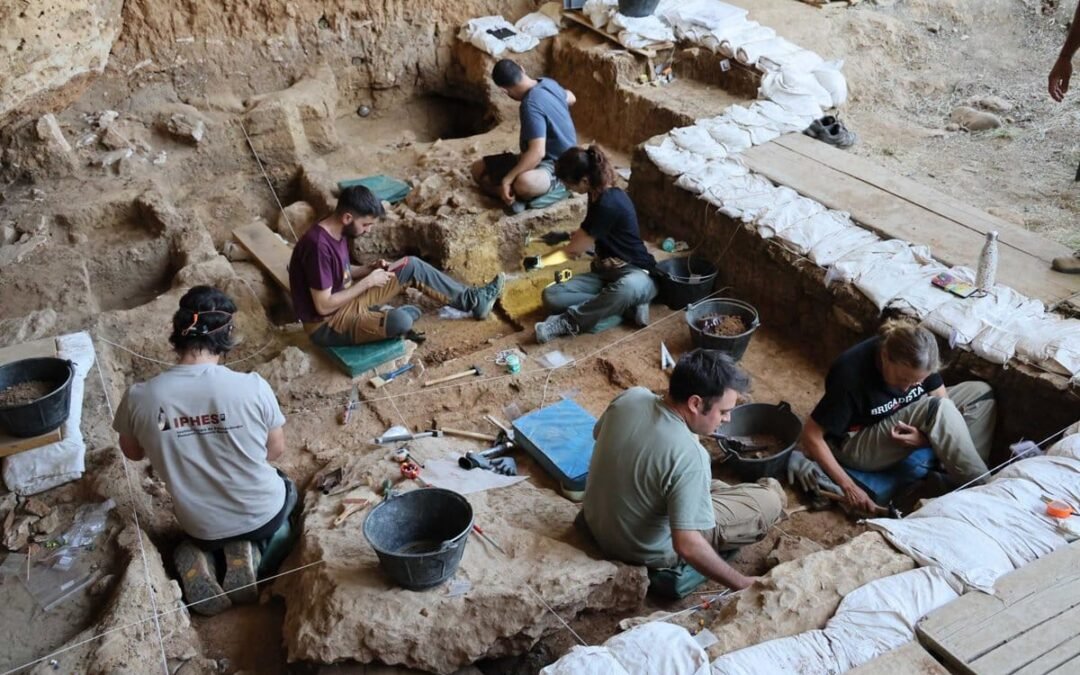 Descubren en Guadalajara restos de caballos de hace 36.000 años que podrían pertenecer al linaje ibérico