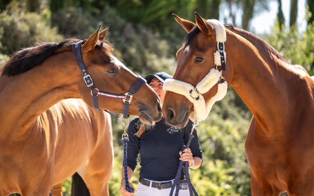 Un hijo de Arcadia, la yegua de Sofía Dolegowski, destaca en el Morocco Royal Tour 2025