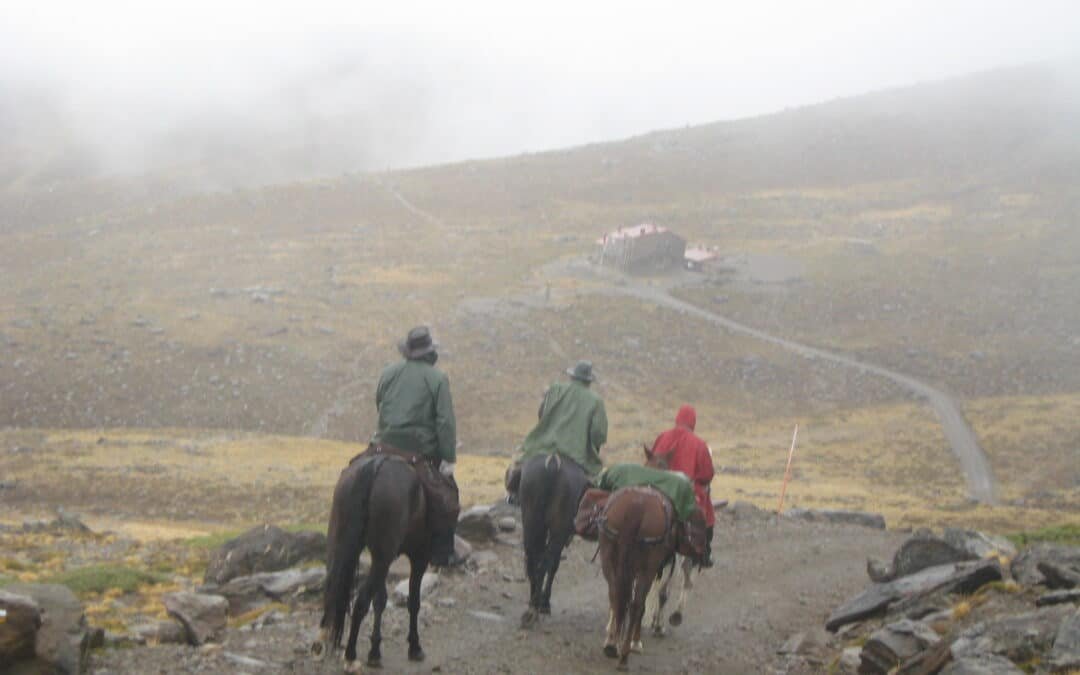 Cómo prevenir accidentes en hípicas ante las intensas lluvias