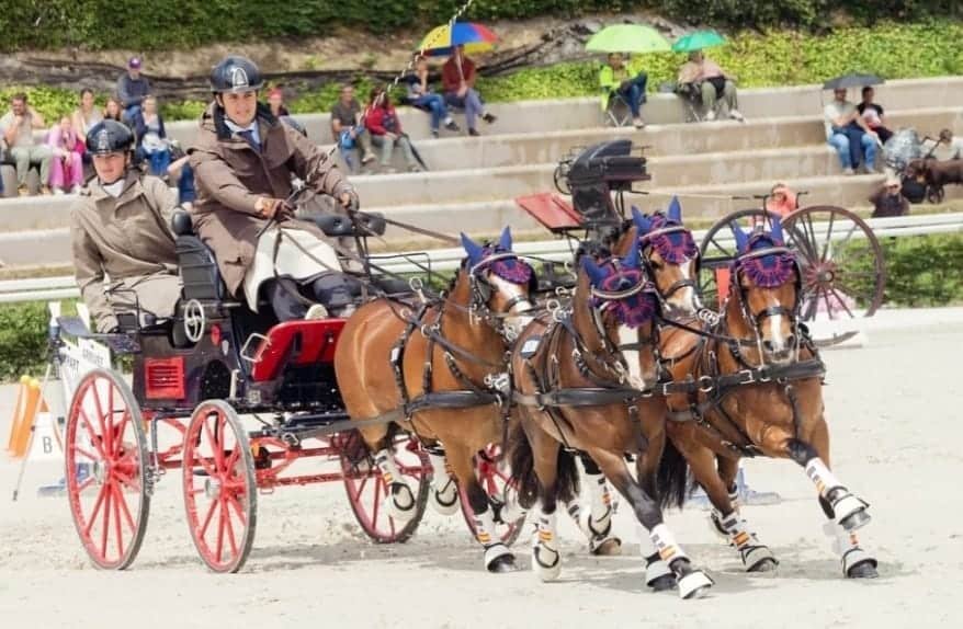 Daniel Pineda Andic roza el podio en el Mundial de Enganches con Ponis