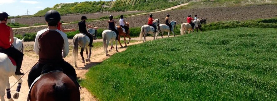 La hípica debe apostar por la sostenibilidad