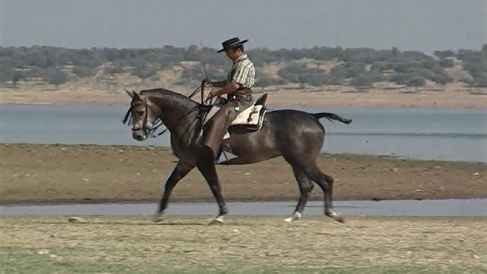 Se establece un plan formativo oficial para las disciplinas de Doma Vaquera y Equitación de Trabajo