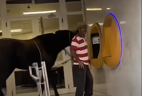 Vídeo viral por acudir con su yegua al banco
