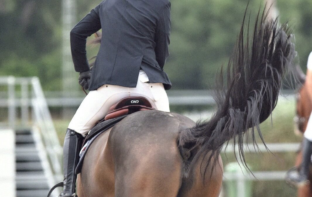 El jinete de KAR Sport Horses Hugo Álvarez Amaro ha retomado la competición