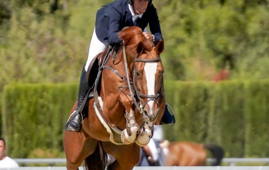 Carlos García Sánchez y Coree vencen la primera calificativa juvenil* patrocinada por Hipotels