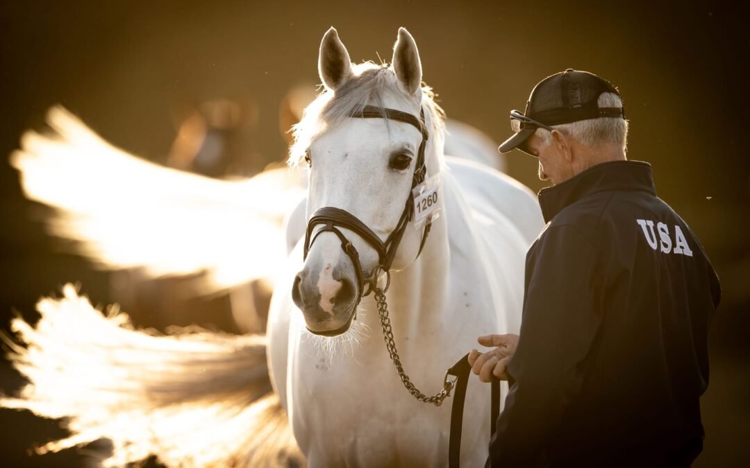 Irreelle de Talma, con el francés Arthur Le Vot, vence en 7 años