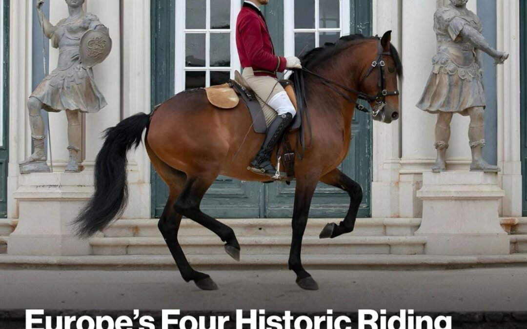 Abu Dabi acogerá por primera vez a las cuatro escuelas clásicas de equitación europeas