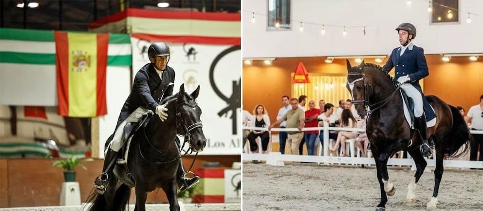 Investigan una trama por la venta de 43 caballos en el juzgado de Ávila