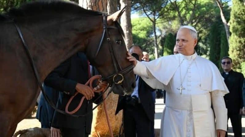 El Vaticano incorpora dos yeguas españolas a su proyecto ecológico en Castel Gandolfo