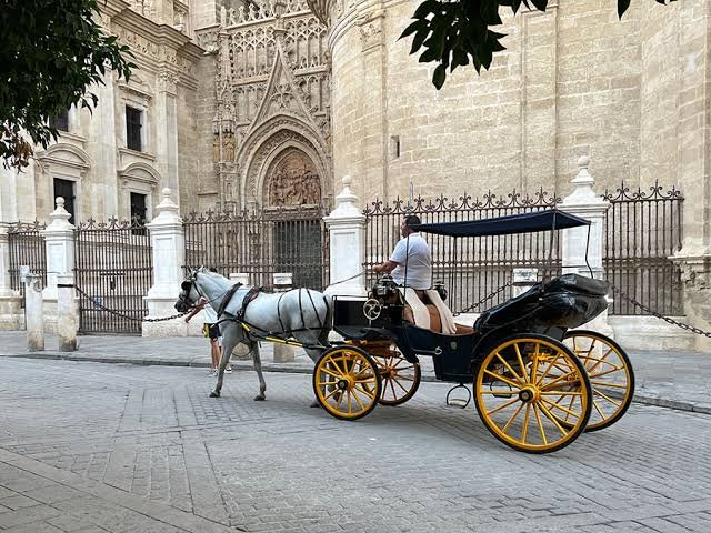 Podemos impulsa una consulta ciudadana para decidir el destino de los coches de caballos en Sevilla