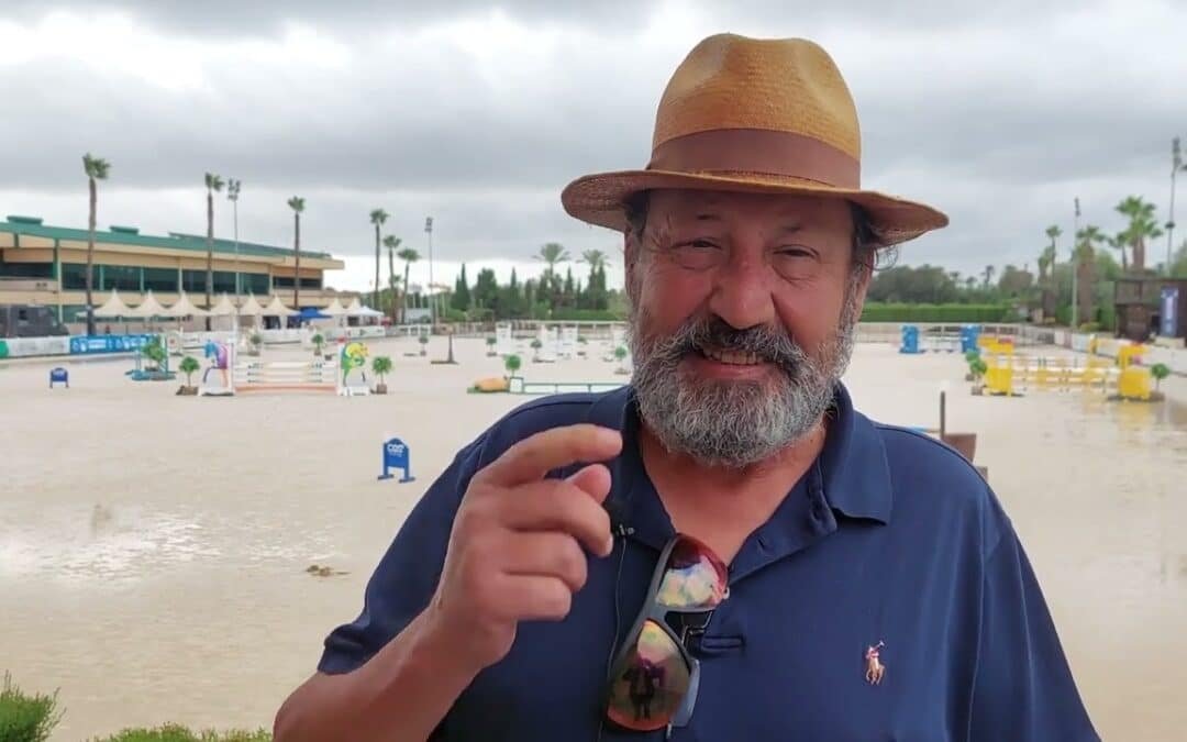 Conoce la importancia de contar con un profesional en la compra de un caballo