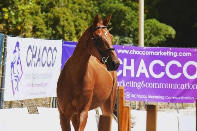 Haz que tu concurso se vea y se recuerde 