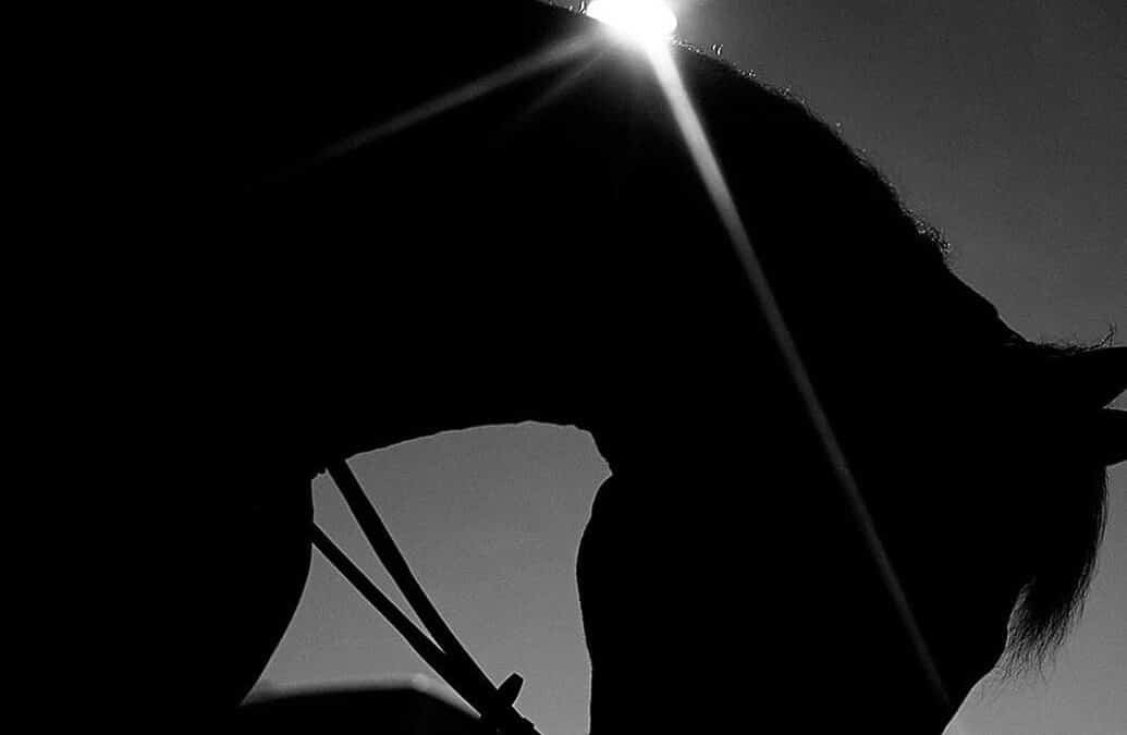 Casas Novas presenta el programa del CSI5*-W y CSI1* A Coruña 2025