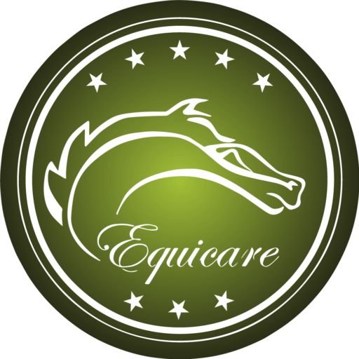 Equicare Horse SPA Hotel: cuidado y bienestar para tu caballo como en casa 