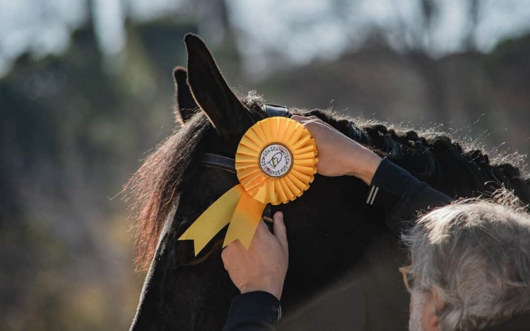 Suspendido el Jumping de Navidad de Somosaguas