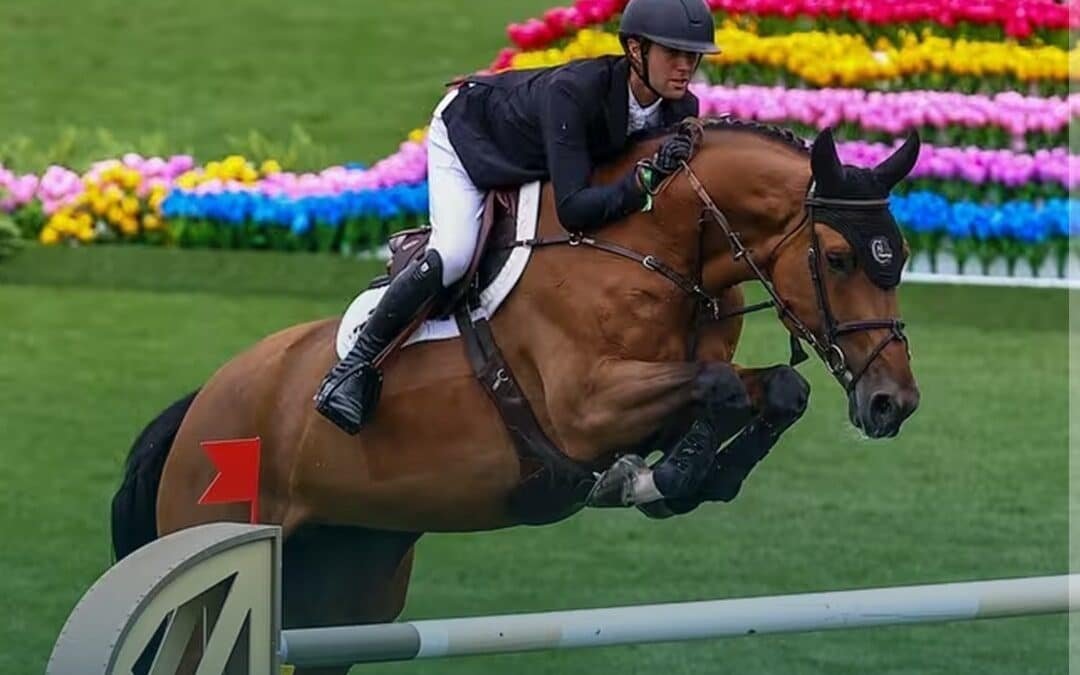 Lavanoche T&L Z pasa a las cuadras de Gregory Cottard