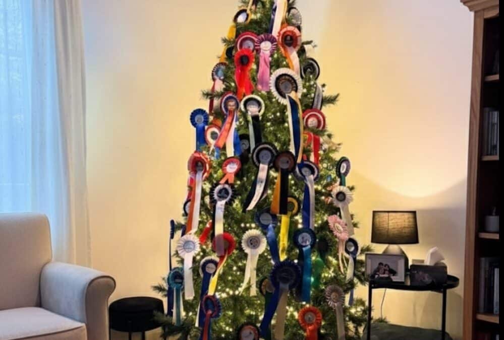 Decoraciones ecuestres para Navidad