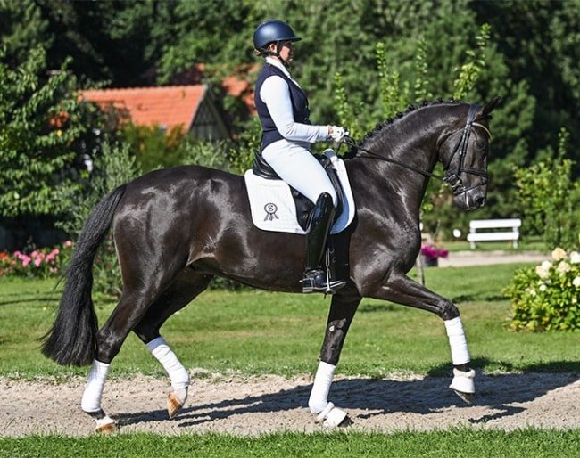 Publicado el catálogo de la subasta PSI 2025