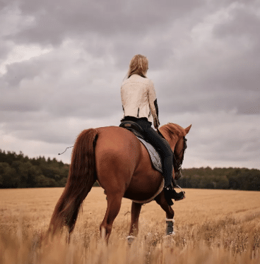 Equitación consciente: entrenando desde la mente del caballo