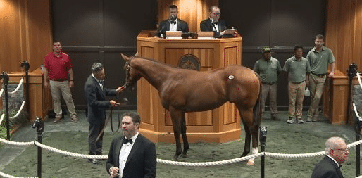 La globalización del deporte ecuestre