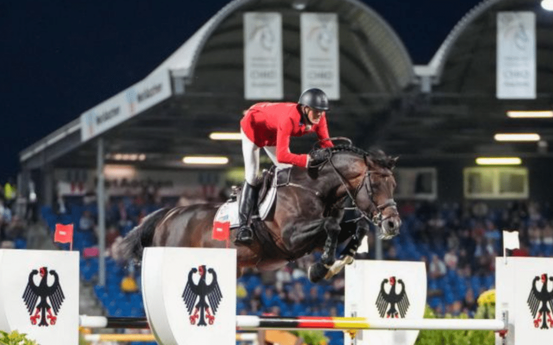 Balou du Reventon Z regresa a Europa y se incorpora a Studfarm Zangersheide