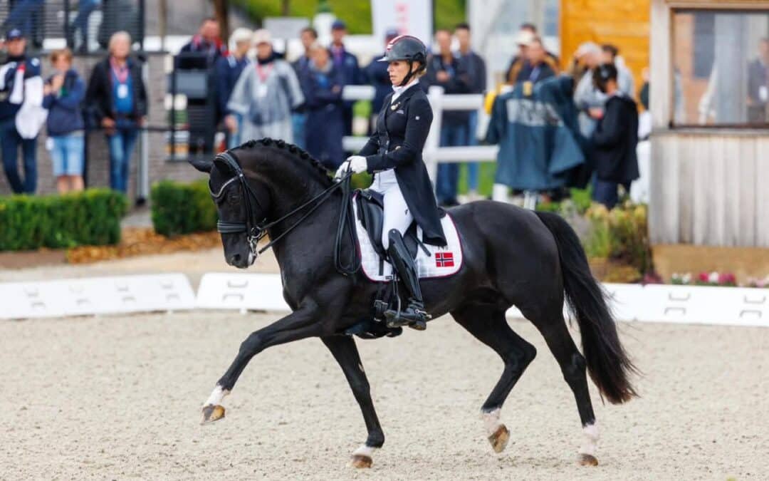 Total Hope Old se mantiene entre los diez mejores del ranking mundial de Doma Clásica 