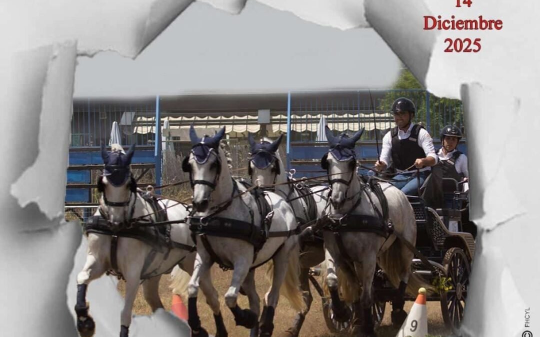 Finalizó el Campeonato de Castilla y León de Enganches 2025