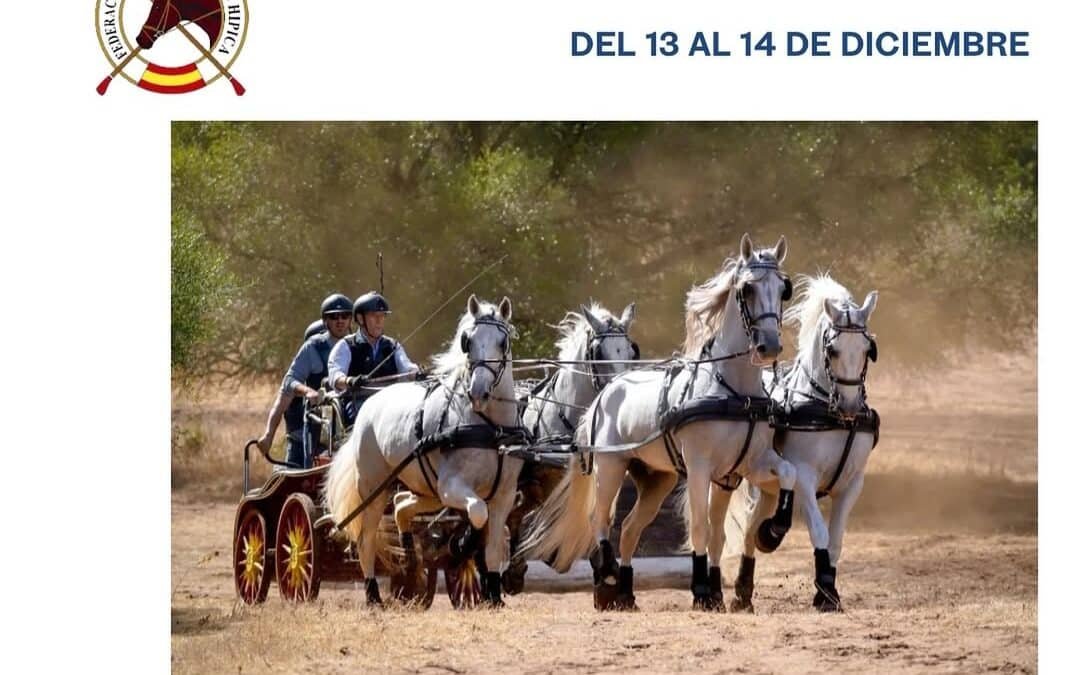 Todo listo en Montenmedio para el Campeonato de Andalucía de Enganches 2025